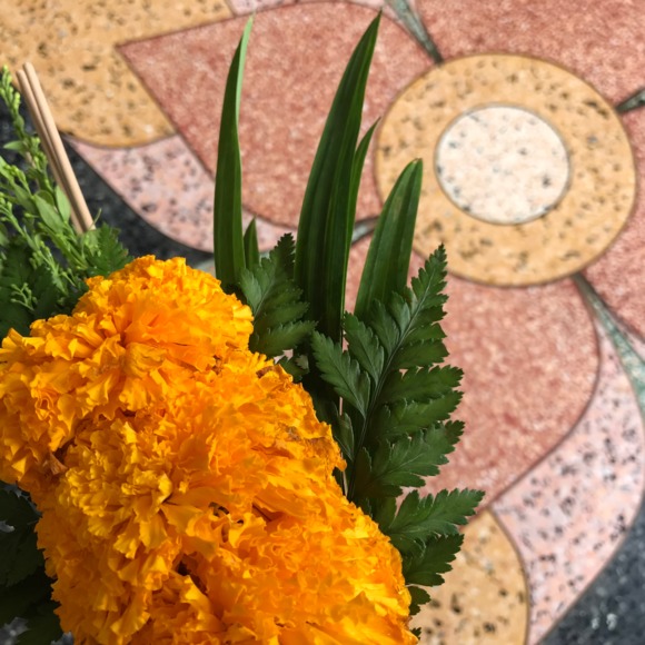 Meet your Posher, Kala - Picture 1 of 1